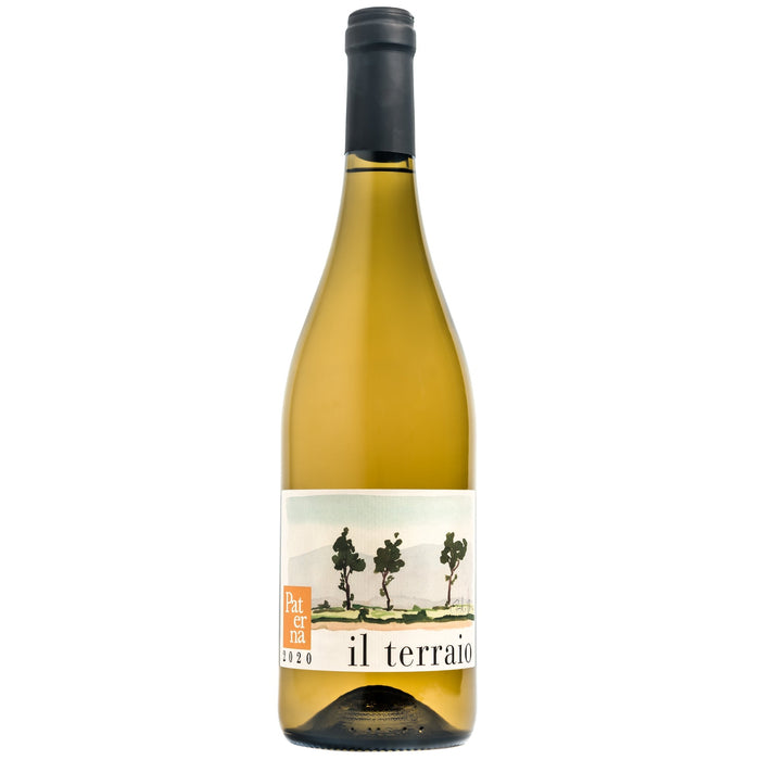 Paterna Il Terraio Bianco 2022 white wine bottle, white label, dark cap