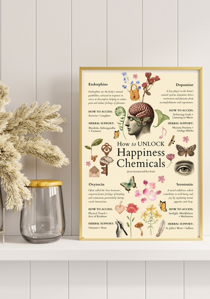 POSTERS By Anima Mundi