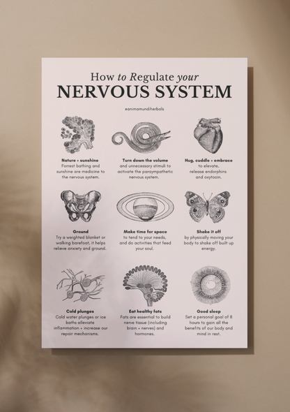 POSTERS By Anima Mundi