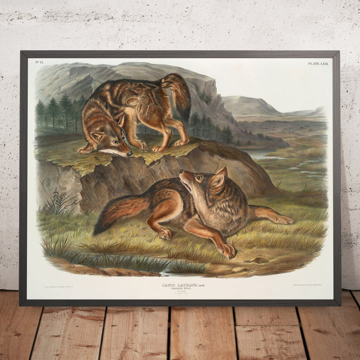 A framed image of