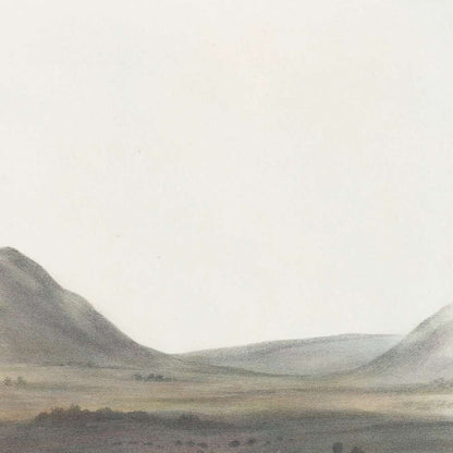 Prairie Wolf (Canis latrans) by John Woodhouse Audubon, 1845
