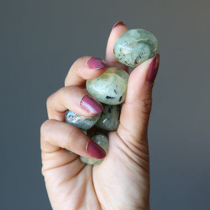 prehnite tumbled stones
