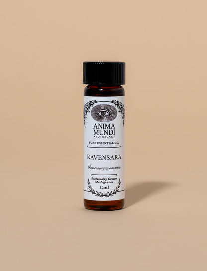 RAVENSARA Essential Oil | Sustainably Cultivated