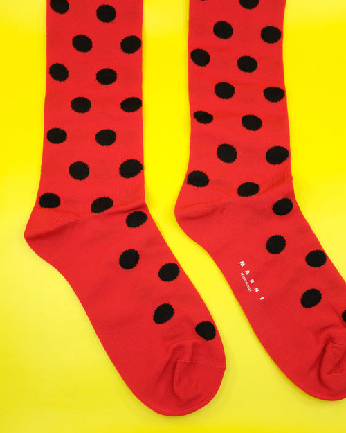 Red Polka Dots Nylon Socks