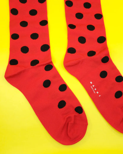 Red Polka Dots Nylon Socks
