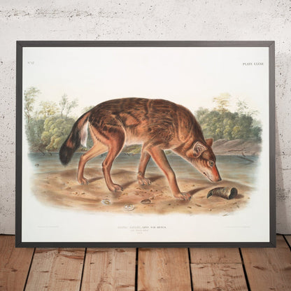 A framed image of