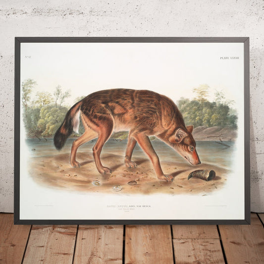 A framed image of