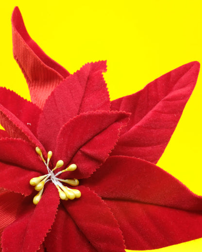 Red Velvet Poinsettia Brooch | JW Anderson | DEPARTAMENTO
