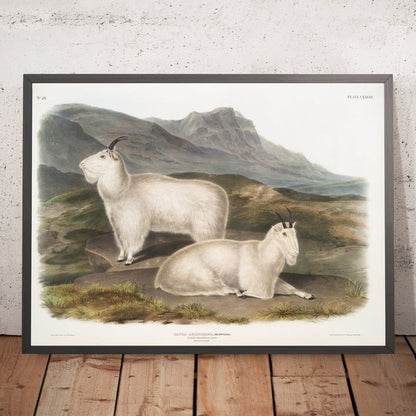 A framed image of