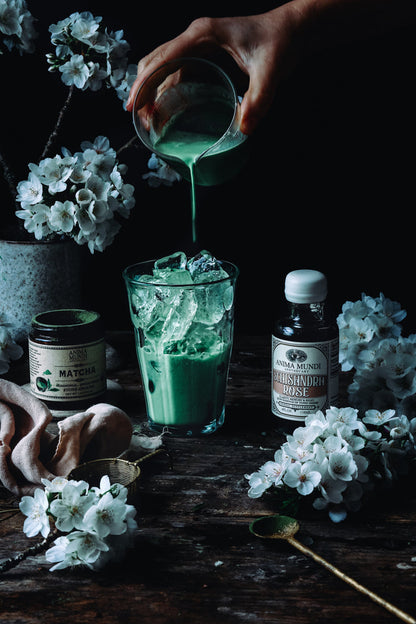 SCHISANDRA ROSE Elixir | Quintessence of Tonic Herbs*