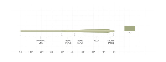 Scientific Anglers Frequency Trout GP fly line - detail view