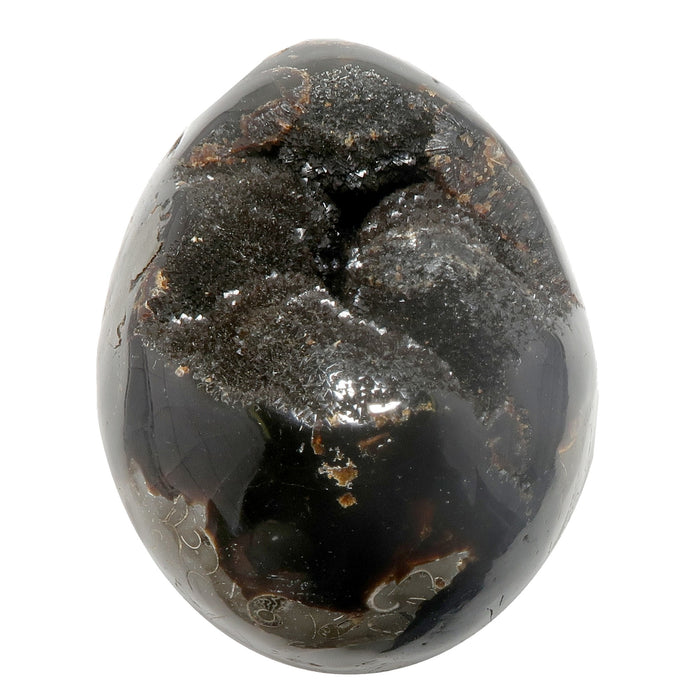 septarian egg