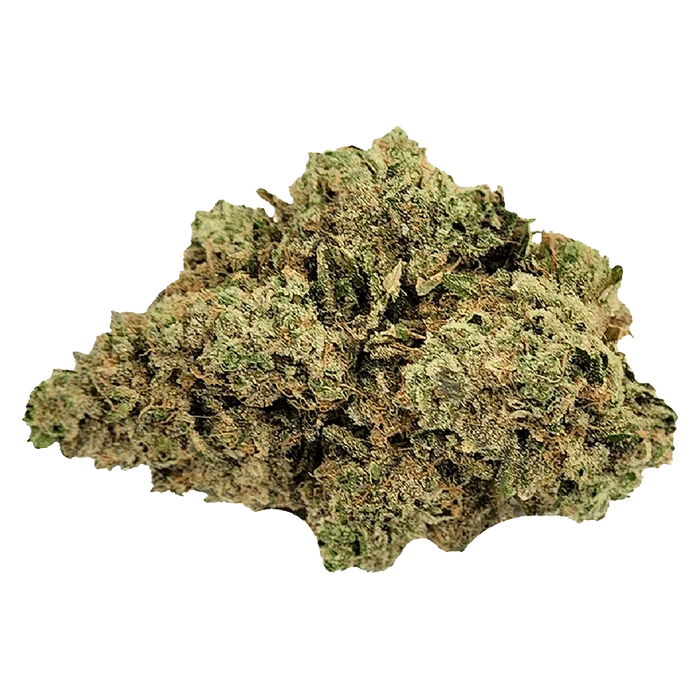 A close-up view of the “Sleeping With The Stars” bud, showcasing its dense, textured surface and organic shape.
