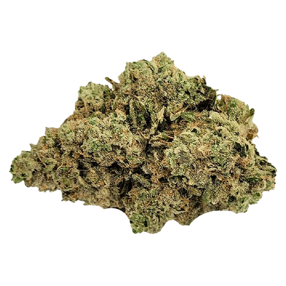 A close-up view of the “Sleeping With The Stars” bud, showcasing its dense, textured surface and organic shape.