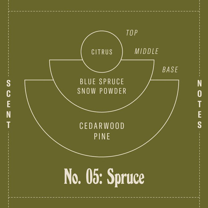 Standard Soy Candle 7.2 oz | Spruce