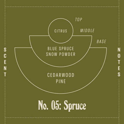 Standard Soy Candle 7.2 oz | Spruce