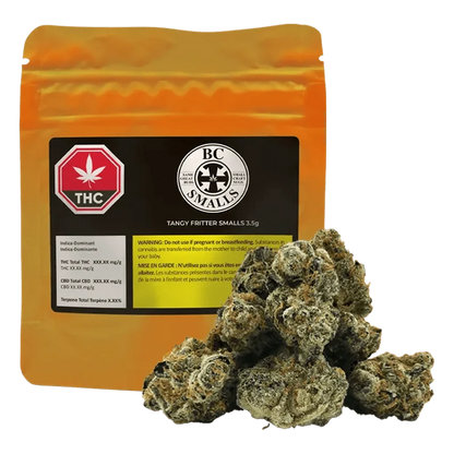 Close-up of the Tangy Fritter Smalls package with a small cannabis leaf and bold branding on a dark background.