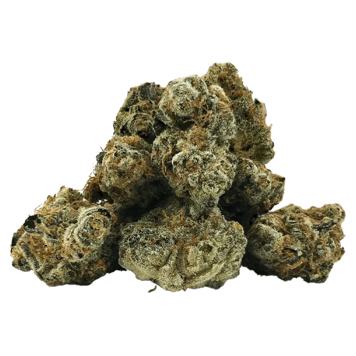A close-up, slightly angled view of the Tangy Fritter Smalls, showcasing its textured, dark coloring.