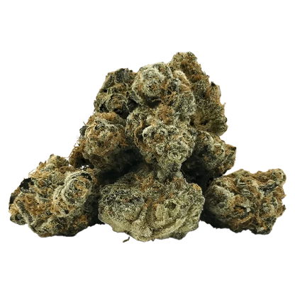 A close-up, slightly angled view of the Tangy Fritter Smalls, showcasing its textured, dark coloring.