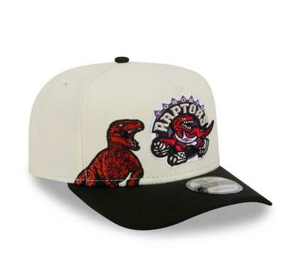 Toronto Raptors HWC Chrome White 9FIFTY A-Frame Snapback