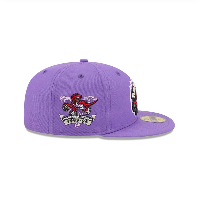 Toronto Raptors Purple 95-96 Inaugural Season Grey uv