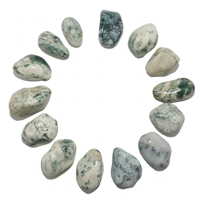 14 Tree Agate Tumbled Stones