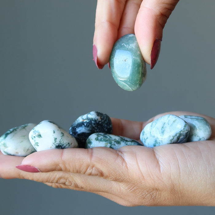 Tree Agate Tumbled Stones on the palm
