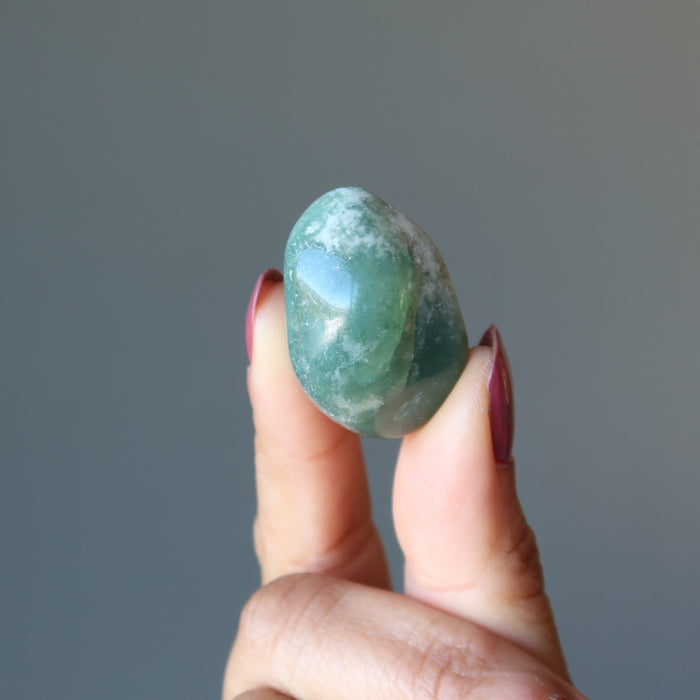 finger tips holding Tree Agate Tumbled Stone