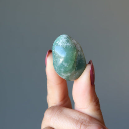 finger tips holding Tree Agate Tumbled Stone