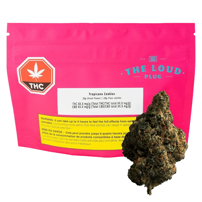Close-up of Tropicana Cookies flower in a plastic bag with branding elements, showcasing the vibrant green buds.