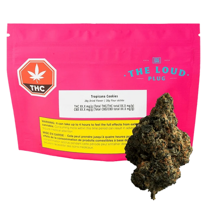 Close-up of Tropicana Cookies flower in a plastic bag with branding elements, showcasing the vibrant green buds.