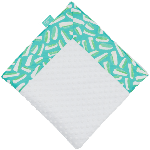 Turquoise Zesty with White Minky Baby Blankie