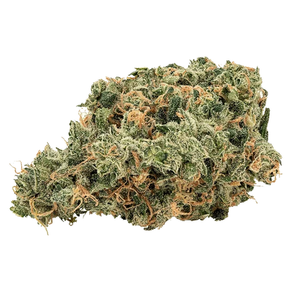Close-up view of the Ultra Jean-G, showing detailed textures and variations in color against a plain white background.