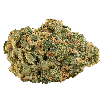Close-up of the Ultra Sour bud, showcasing its dense, textured surface with green and amber hues.