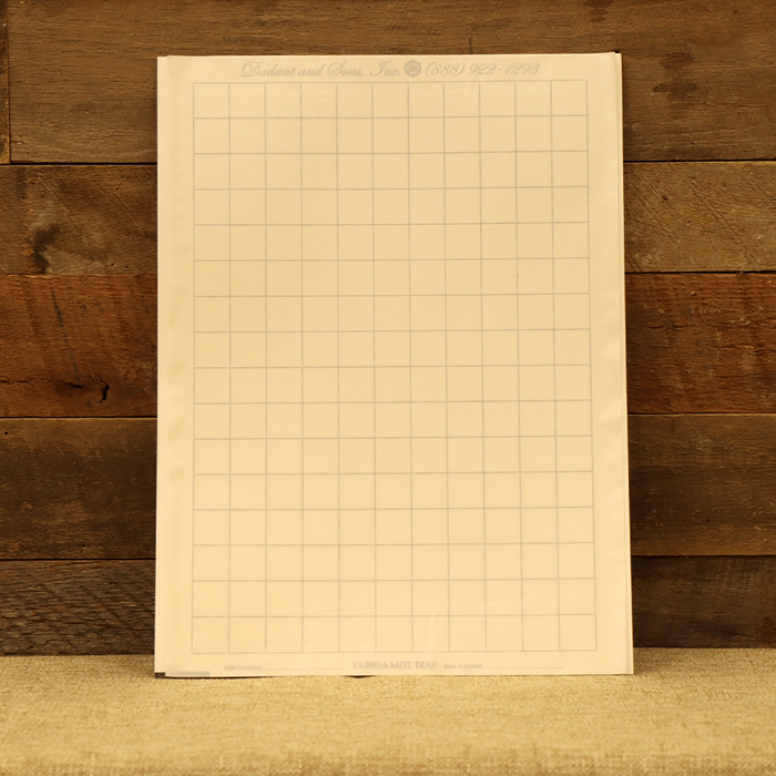 Varroa Mite Sticky Board