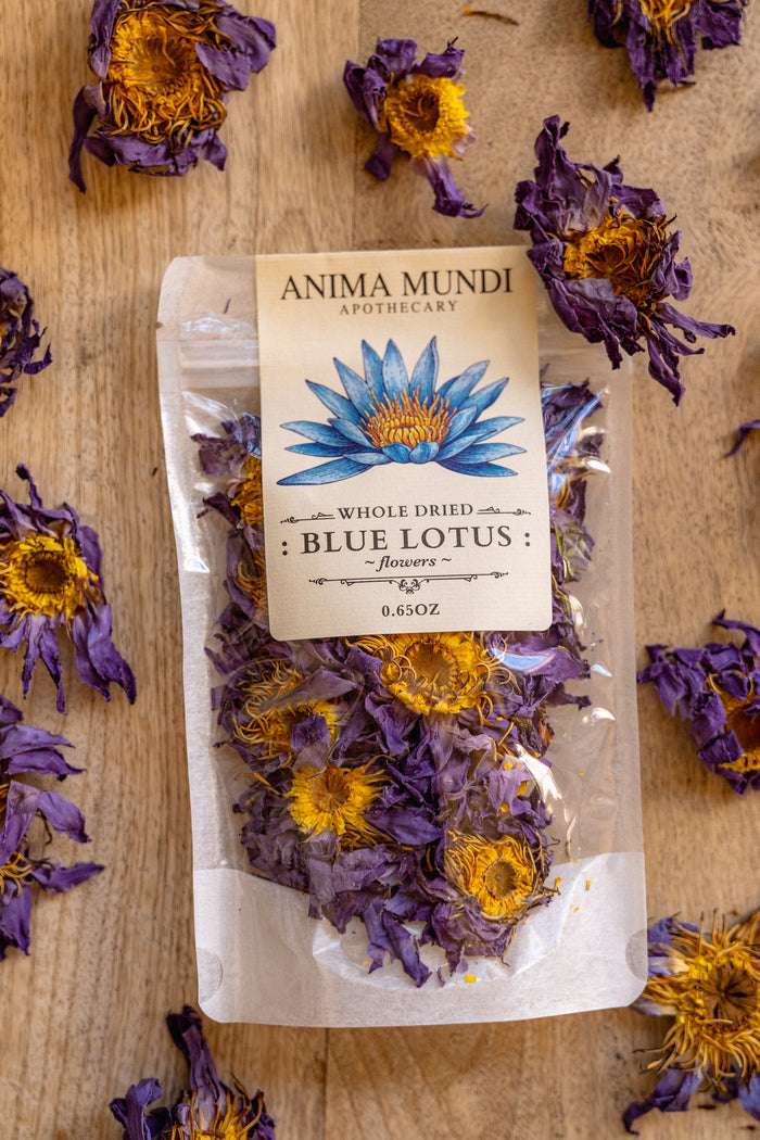 Packaged dried blue lotus flowers with Anima Mundi Apothecary label on a wooden surface.