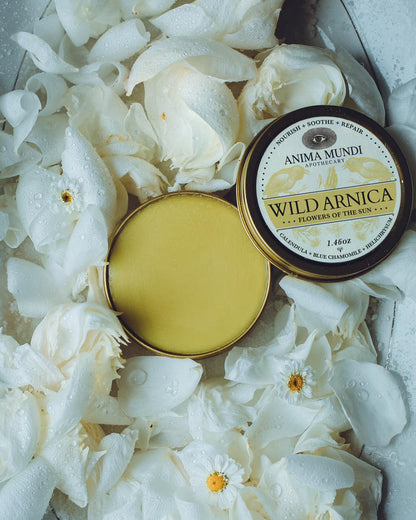 Two tins of Anima Mundi Wild Arnica on a bed of white flowers