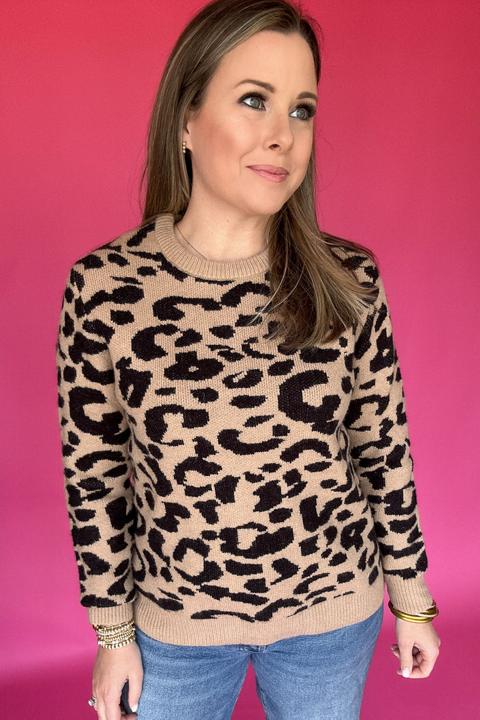 Wildly Yours Leopard Knit Sweater - B Social Boutique