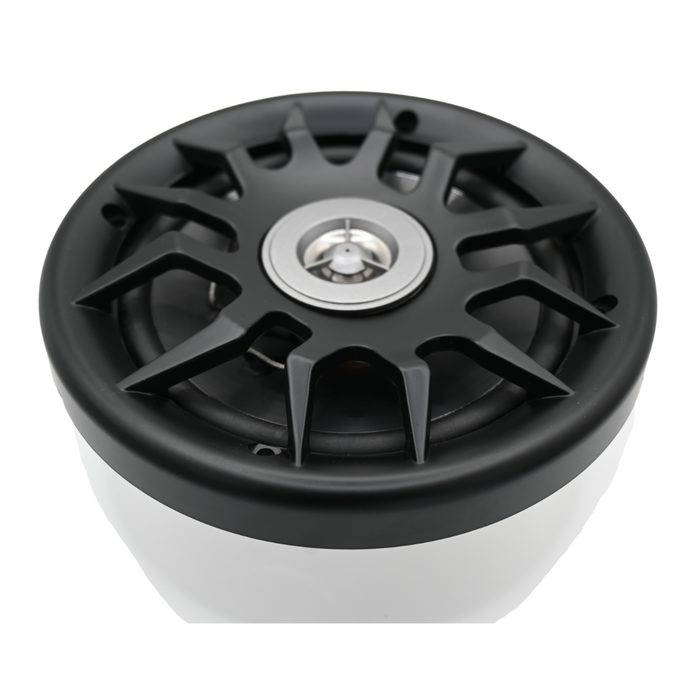 products x551405 100w master spas speaker 1 speaker html