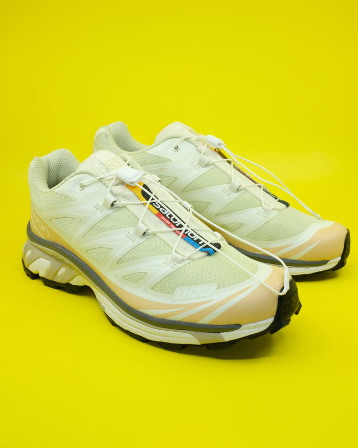 XT-6 Aloe Wash / Hazelnut