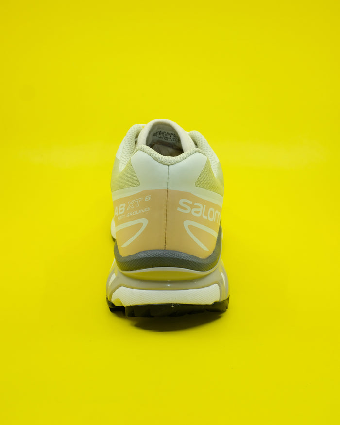 XT-6 Aloe Wash / Hazelnut