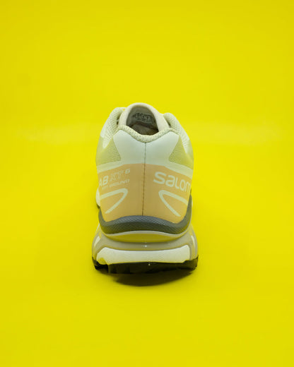 XT-6 Aloe Wash / Hazelnut