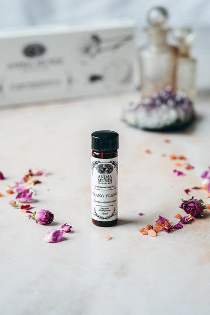 YLANG-YLANG Complete Essential Oil | Organic