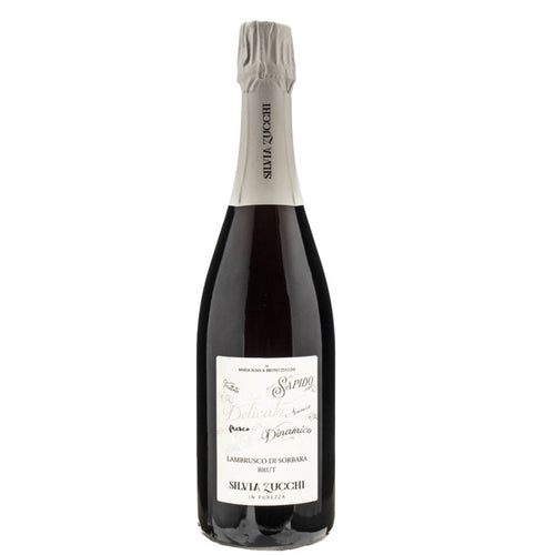 Zucchi Brut Lambrusco di Sorbara 2023 sparkling wine bottle with cream label